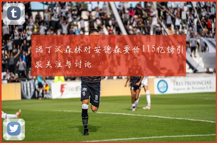 诺丁汉森林对安德森要价115亿镑引发关注与讨论