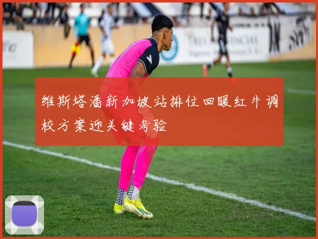 维斯塔潘新加坡站排位回暖红牛调校方案迎关键考验